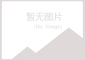 柳州柳北冰夏咨询有限公司